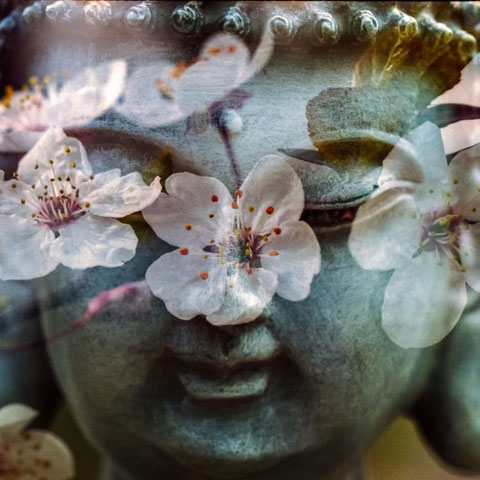 Van overleven naar léven