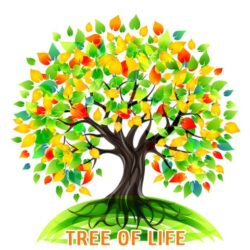 Celtic Wisdom  Energie Systeem