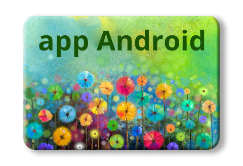 app Android