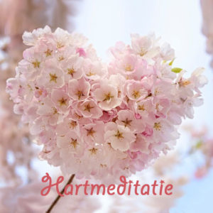 Hart meditatie