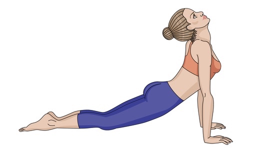 Opwaarts kijkende hond