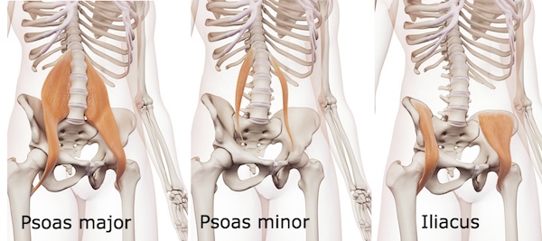 Psoas-1, do-in yoga les, yoga bij Pilago, massage. yoga Wijk bij Duurstede