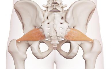 piriformus, do-in yoga les, yoga bij Pilago, massage. yoga Wijk bij Duurstede