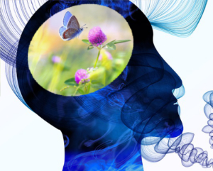 Verantwoordelijk voor je eigen geluk.