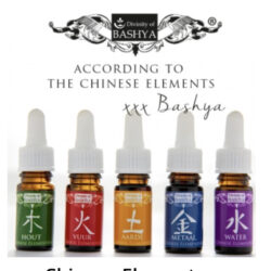 Chinese Elementen