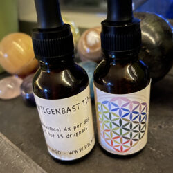 Bio Wilgenbast tinctuur