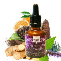 Regendruppels Ontwaken