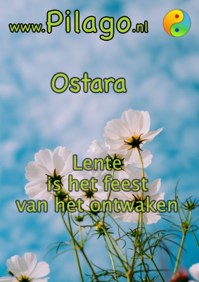Feest van de lente