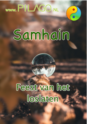 Feest van het Loslaten