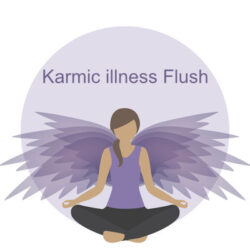 Karmic illness flush