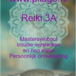 aspirant reiki master