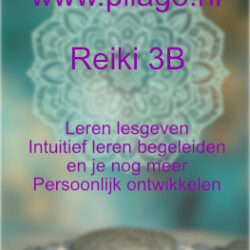 Reiki 3B Master