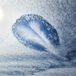 Master Angel Afstemming