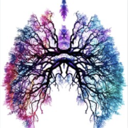 Levensadem Afstemming