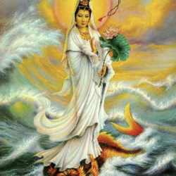 Hogere universele genezing