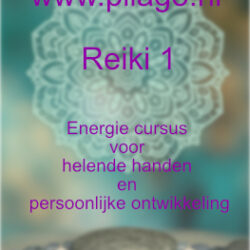 Reiki 1 Cursus