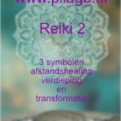 Reiki 2 cursus