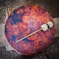 Shamanistische Mystery Schools Online cursus